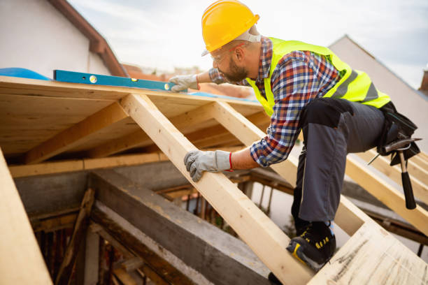 Best Roof Gutter Cleaning  in Thibodaux, LA